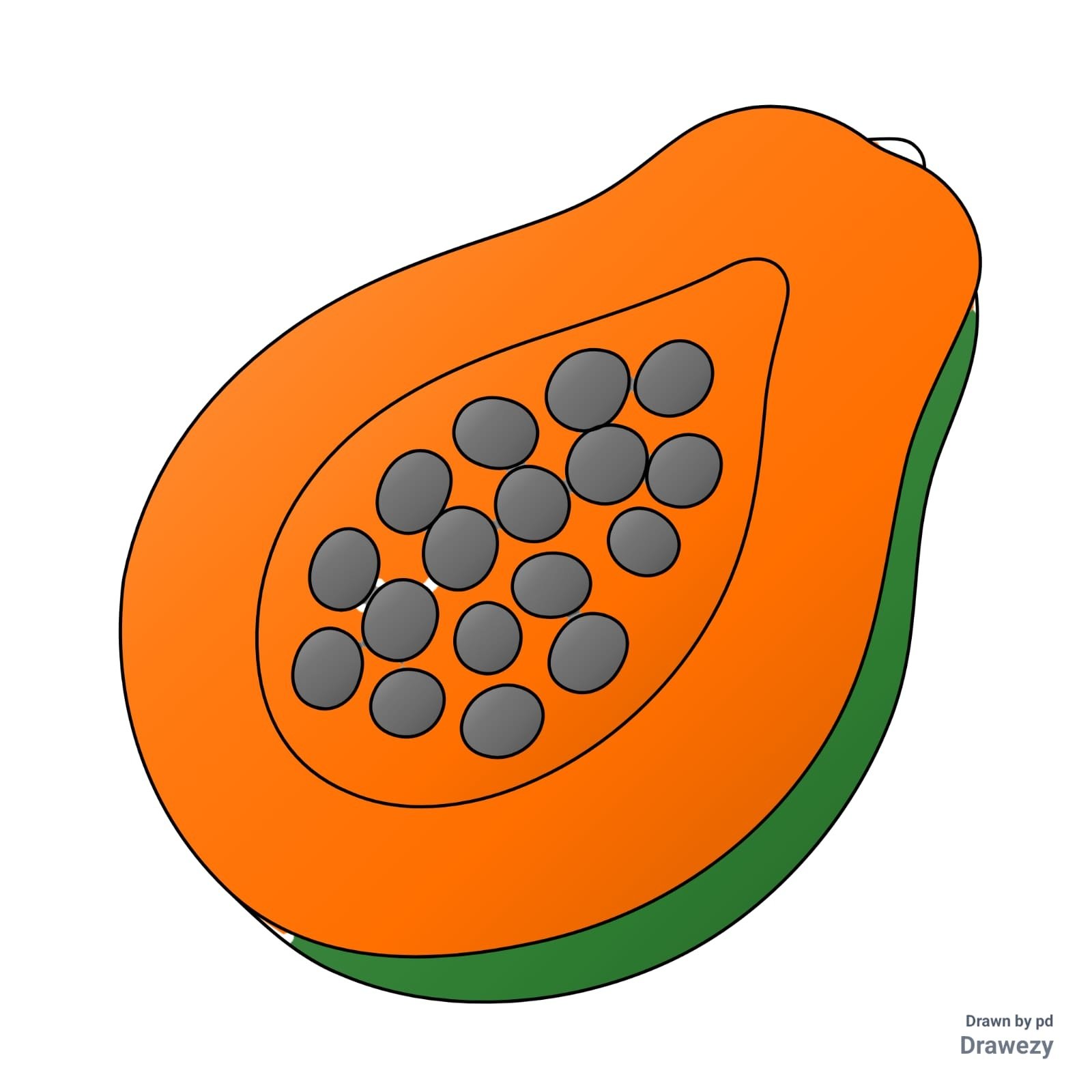 Exported Papaya Drawing